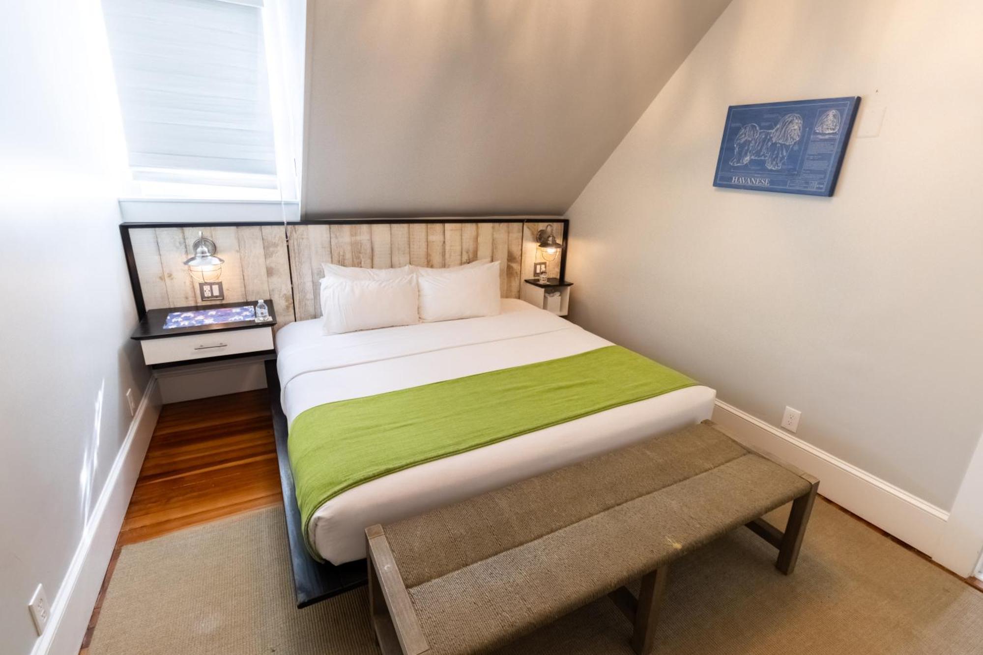 Paws On Pelham (Adults Only) Bed & Breakfast นิวพอร์ต ภายนอก รูปภาพ